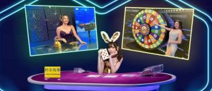 Read more about the article 789club Ku Casino: Nhà cái uy tín hàng đầu Việt Nam và lý do tại sao được nhiều người chơi lựa chọn